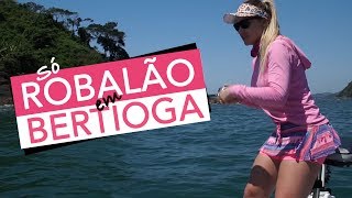 PESCARIA DE ROBALO EM BERTIOGA  BELA PESCA [upl. by Ynaffik725]