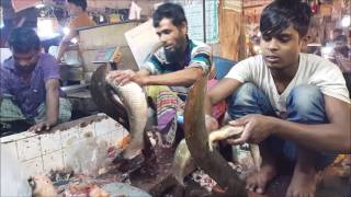 Indian long fin eel Fish Cleaning amp Remove Skin in Fish Market Part 01 [upl. by Admama600]