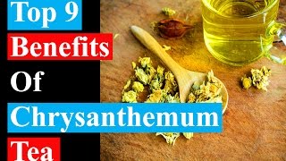 Top 9 Benefits Of Chrysanthemum Tea  Health Benefits [upl. by Awad]