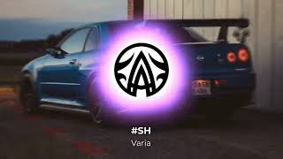 SH  Varia AMB Remix [upl. by Aneloc]