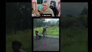 instinto Animal peligroso parati edits raccion memes funny mexico paratii shorts [upl. by Nosloc]