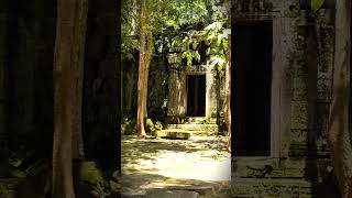 The Lost Temple Ta Nei in Angkor Complex history travel ancient nature [upl. by Kcirrad]