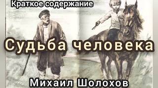 Краткое содержание Судьба человека Шолохов М А Пересказ рассказа за 10 минут  Хамид Гаджиагаев [upl. by Quiteri]