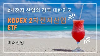 힐링자 2차전지 산업의 강국 대한민국 KODEX 2차전지산업 ETF 미래전망 [upl. by Horvitz348]