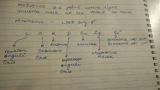 Trick to memorize all muscles of modiolus [upl. by Queenie793]