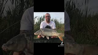 Our Fishing Journey 40lb Catfish from Long Lake Coking Farm Peg 4344 [upl. by Nyla217]