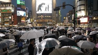 4K・ Rainy night at Tokyo Shibuya [upl. by Northey274]