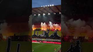 Belgium Standard Liege  Charleroi Performance in honor of the native working city from local fans [upl. by Airda572]