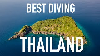 Best Diving in Thailand  Similan Islands [upl. by Negrom]