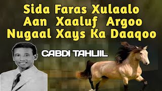 sida faras bulaalo  sida faras bulaalo lyrics  sida faras xulaalo  xasuustii AUN cabdi tahliil [upl. by Talley338]