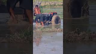 The bullock cart is stuck and what to do​bulldozer reels viralvideo sports stuck [upl. by Cross]