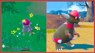 Live Shiny Cranidos  Shiny Rampardos Evolution The Indigo Disk Pokemon Scarlet [upl. by Haas]