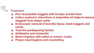 Nasal Myiasis Maggots in nose [upl. by Aromat]