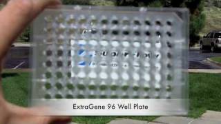 ExtraGene 96 Well ELISA Plate Test  Quasar Instruments [upl. by Anaeli]