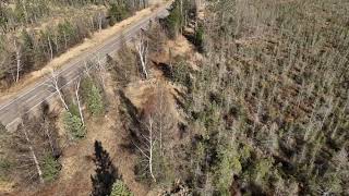 Hunting Land for sale in Iron County WI [upl. by Ellinehc660]