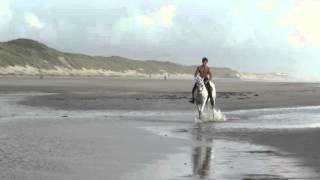 Making of Horse and Hunk kalender 2016 met Max Englander in galop [upl. by Steffy]