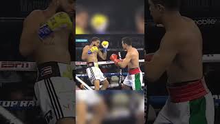 jose zepeda vs josue vargas boxing shortvideo [upl. by Lexerd]