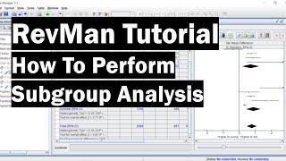 RevMan Tutorial  How To Perform Subgroup Analysis [upl. by Llerryt887]