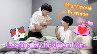 Leading My Boyfriend On With Pheromone Perfume💖Seduce Prank He try to do it Gay Couple BL [upl. by Jonell]