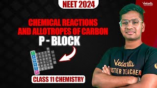 Chemical Reactions and Allotropes of Carbon  P  Block  Class 11 Chemistry  NEET 2024  Riyaz [upl. by Eelanaj]