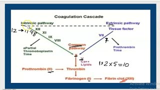 coagulation cascade easy way to remember [upl. by Sanez267]