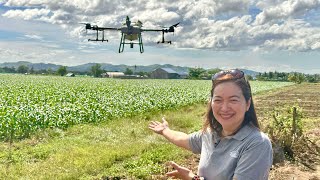 Revolutionizing Philippine Agriculture using Agricultural Drone Agribusiness How It Works [upl. by Solon]