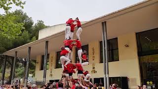 Castellers de Barcelona 3 de 7  Diada del Local de Castelldefels 2024 [upl. by Torie]