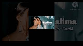 Zaalima Lyrics status Hindi zaalima shortsvideo love viralvideo tranding ytshort [upl. by Killoran524]