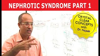 Nephrotic Syndrome  Part 1🩺 [upl. by Sension]