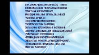 Cilostazol Цилостазол Pletal Плетал антиагрегант в лечении атеросклероза сосудов нижних конечностей [upl. by Redd378]