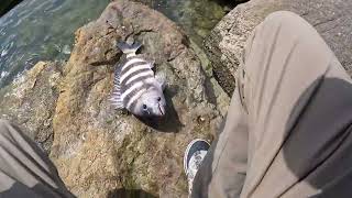 Fishing Ponce Inlet  Daytona Beach [upl. by Lossa]