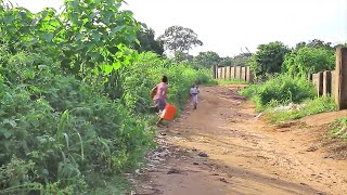 Please Try Your Best To Watch This Very Interesting Village Family MovieAfrican Movies [upl. by Nowujalo399]