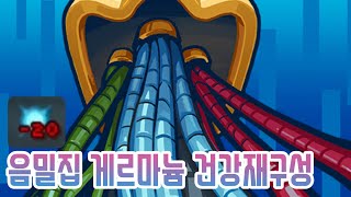 디펙트 장수비결 Slay the Spire 슬레이 더 스파이어 [upl. by Namrehs471]