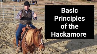 Basic Principles of the Hackamore Bosal  Horse Training [upl. by Assila493]