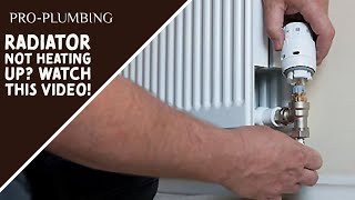 Fix Your Radiator In Minutes Without Paying A Plumber [upl. by Atews]