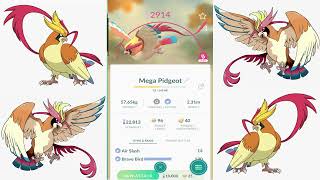 Mega Evolution Pidgeot [upl. by Anauqahs]