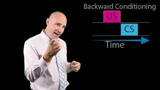 Backward Conditioning Procedure [upl. by Enilesor]