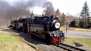 125 Jahre Harzquer  und Brockenbahn 27032024 [upl. by Ylimme]