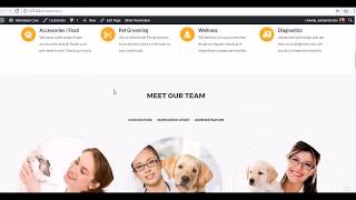 Installing demo data Veterinary WordPress theme  Webful Creations [upl. by Swenson61]