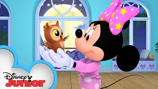 Goodnight Owl  Minnies BowToons 🎀  disneyjr [upl. by Ninahs]