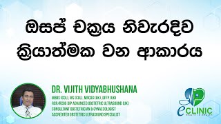 ඔසප් චක්‍රය නිවැරදිව ක්‍රියාත්මක වන ආකාරය 05  Dr Vijith Vidyabhushana [upl. by Amlus]