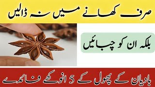 Badian khatai 5 Benefits  Star anise Benefits [upl. by Westfall]