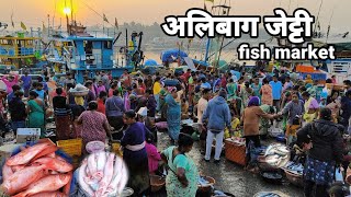 Alibag jetty fish market  सकाळी गेलो अलिबाग जेट्टी मच्छी मार्केटलाalibagfishmarketashwingharat [upl. by Vine]