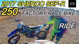 Lorenzo Santolino 2017 Factory Sherco SEFR 250 [upl. by Julio]