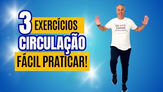 3 EXERCÍCIOS EXCELENTES PARA CIRCULAÇÃO E COORDENAÇÃO  Exercício Idosos [upl. by Yuk]