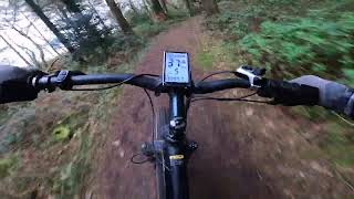 Mx03 Electric MTB  Riding Forest Trails [upl. by Decrem797]