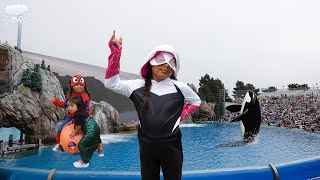 Halloween Birthday Celebration at SeaWorld [upl. by Madeleine]