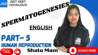 SPERMATOGENESIS PART 5HUMAN REPRODUCTION SHALU NEET TRICKS LINE BY LINE ZOOLOGY CBSE ENGLISH [upl. by Atiuqan]