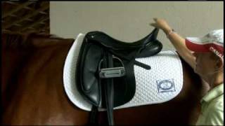 How to Select the Correct Dressage Saddle [upl. by Eserrehs36]