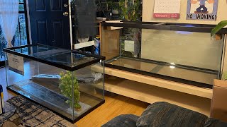 Petco vs Petsmart 75 Gallon Comparison [upl. by Annailuj]